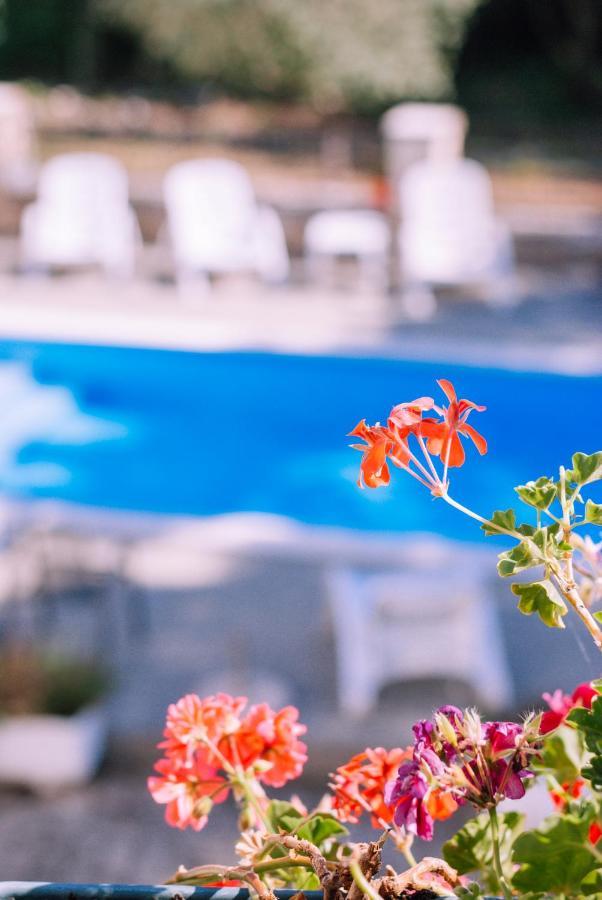 Guest House Sosi Umag Exterior foto